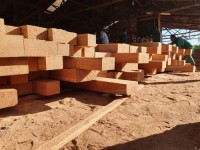 Teak