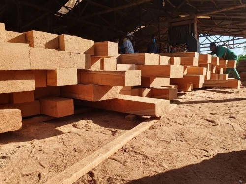 Teak